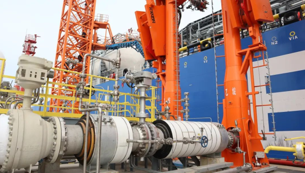 2025年11月项目:wordpress外贸站、小程序疑难杂症解决